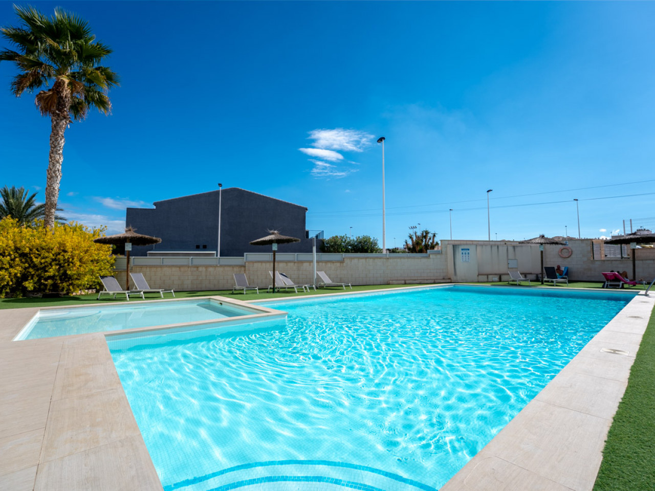 Apartment in Torrevieja - Image 3